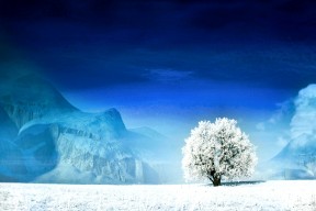 世界登山青年导师长期观察数据库第三期数据发布，世界登山史